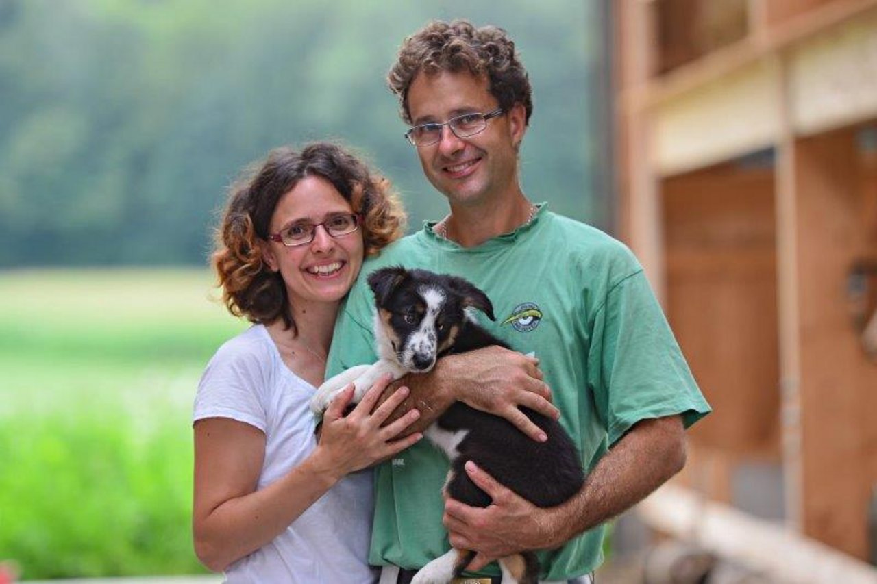 Welpen Nala soll Arthur und Gabriela Ziegler nach dem Tod von Border Colli Rasti bei der Arbeit mit den Schafen helfen.