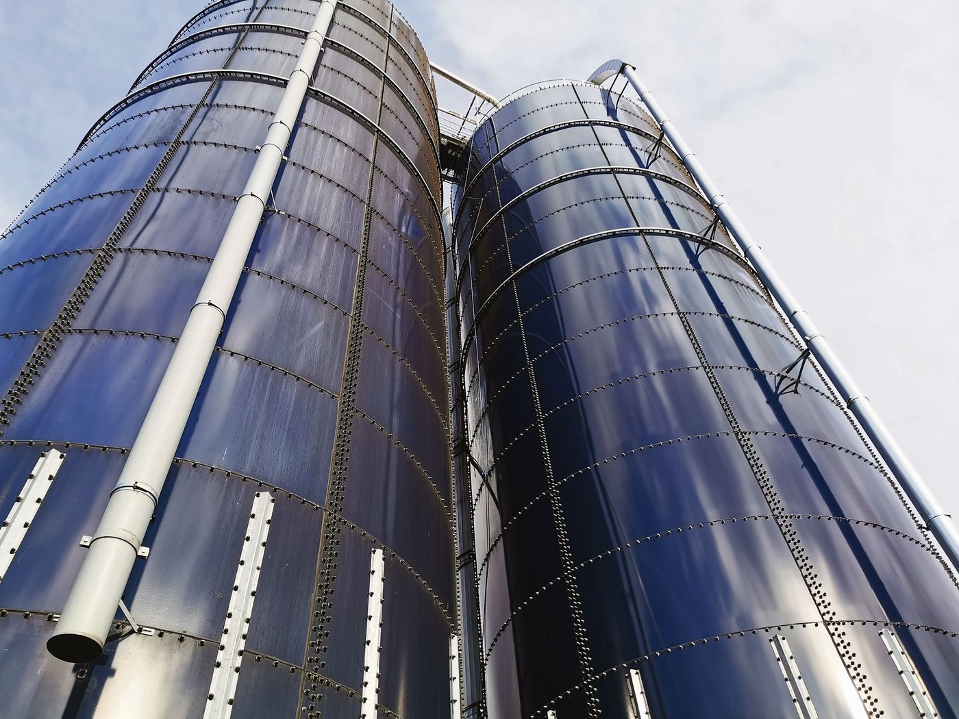 Hochsilos sind speziell auf automatisierten Betrieben im Trend. Entscheidend ist nach der Entnahme der tägliche Vorschub. Die Silos haben häufig einen zu grossen Durchmesser.  (Bild sb)