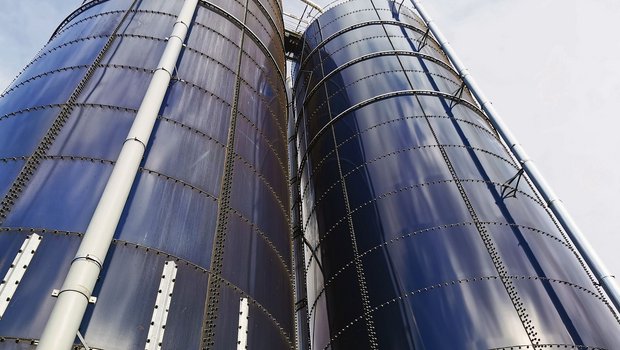 Futterkonservierung: Hochsilos sind im Trend Hochsilos sind speziell auf automatisierten Betrieben im Trend. Entscheidend ist nach der Entnahme der tägliche Vorschub. Die Silos haben häufig einen zu grossen Durchmesser. (Bild sb)