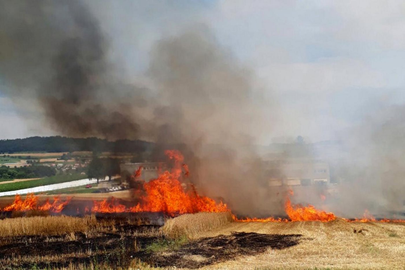 Der warme Wind führte zu einer schnellen Verbreitung der Flammen. (Bild Daniel Rudolf)