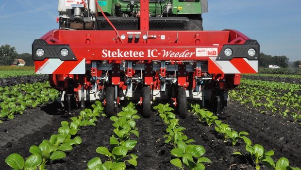Zehnmal weniger Spritzmittel im Gemüsebau mit Spot Spraying möglich Der Stecketee-IC-Weeder ist eigentlich ein Hackroboter. Er ist jedoch mit der Option Spritzanlage für pflanzenspezifische Spritzung nachrüstbar. Das Gerät funktioniert in Reihenkulturen, die gepflanzt sind. (Bilder Agroscope)