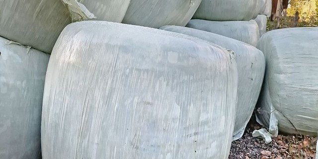 Die Novemberballen liegen am Haufen. Sie sollten aufgrund des hohen Proteingehalts an laktierende Kühe verfüttert werden.