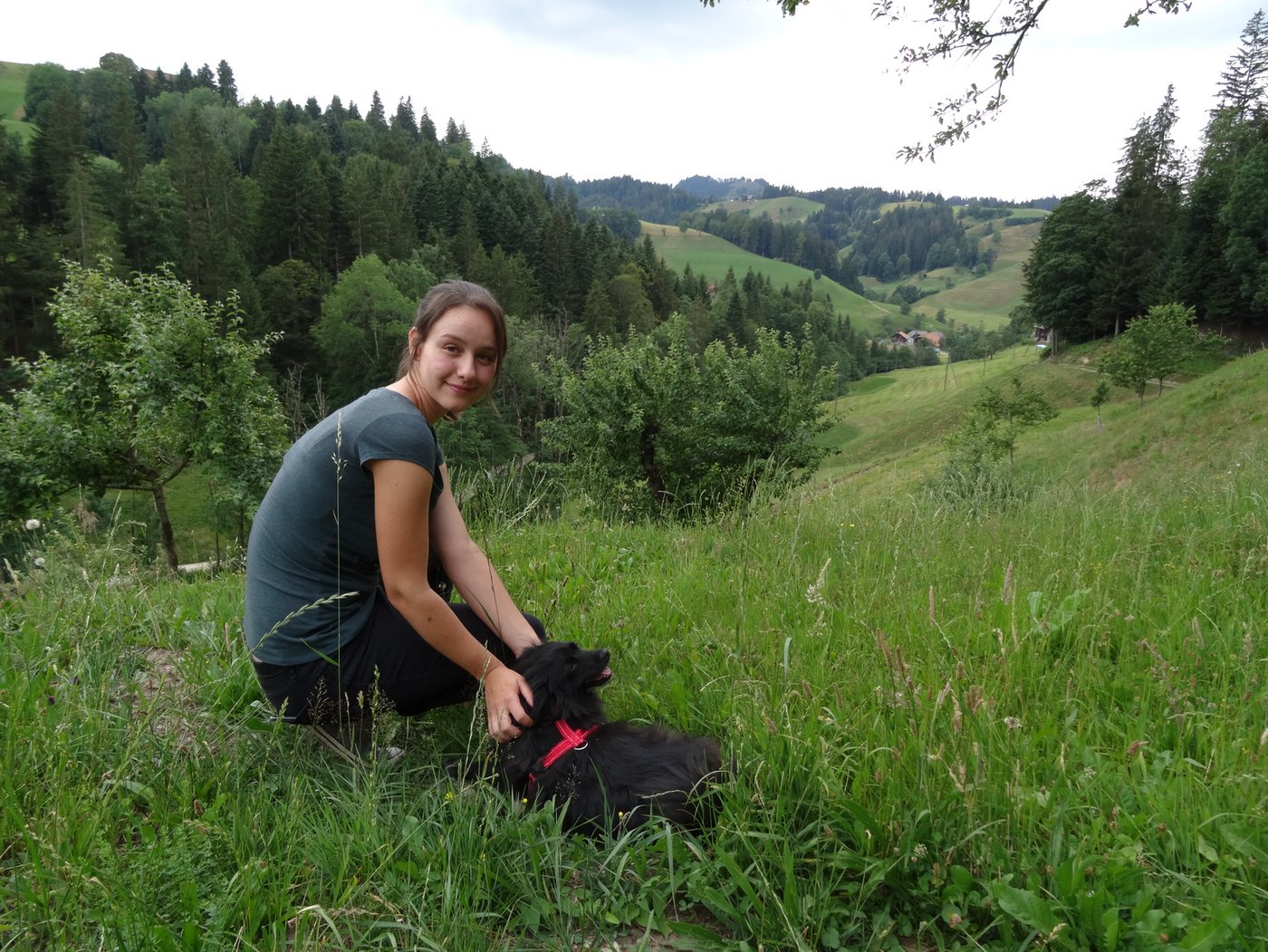 Mit Hofhund Norris schaut Tamara Widmer über die Felder, auf denen das Raufutter für die Kühe wächst. 