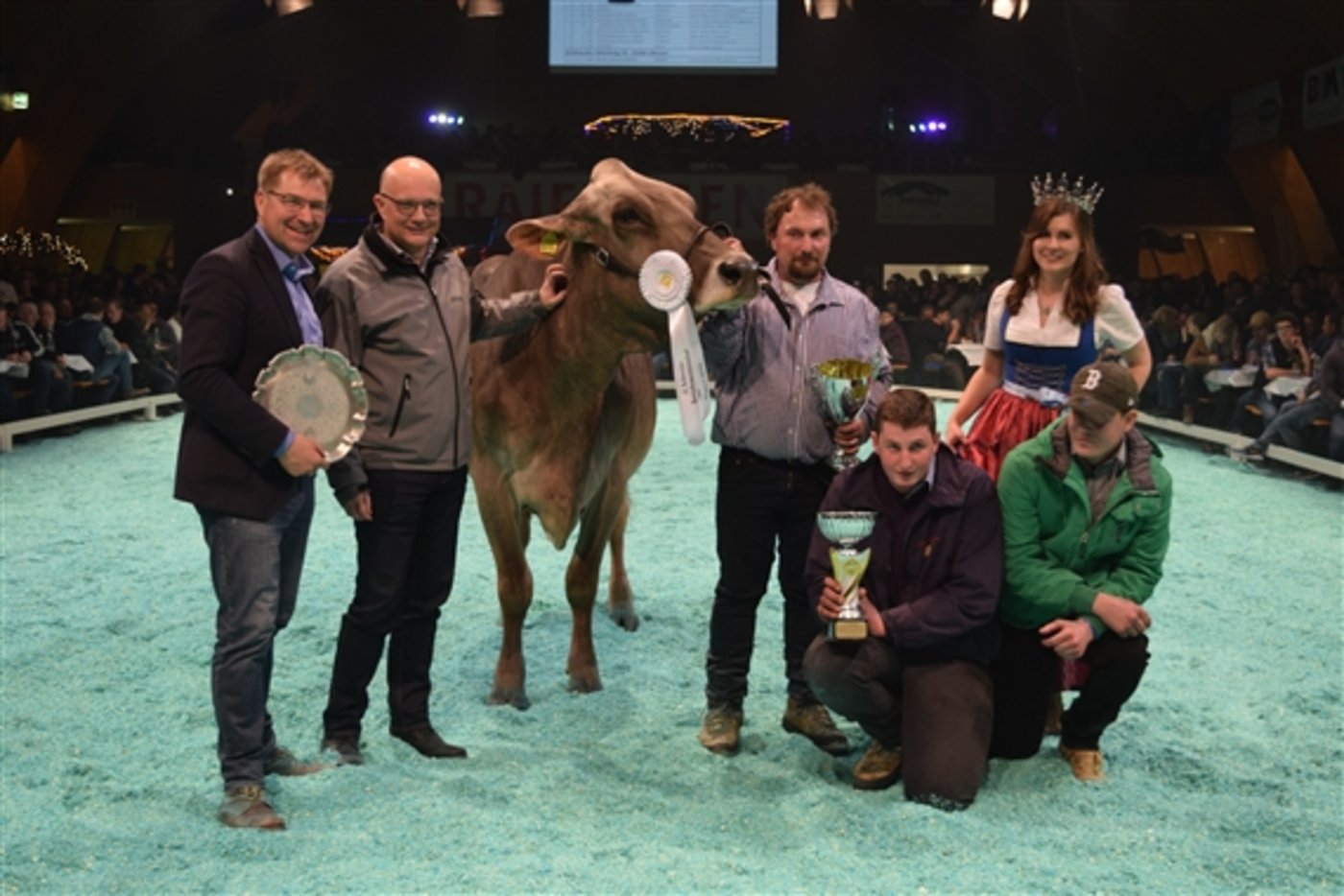 Assmira (hier bei ihrem Abteilungssieg) wurde zur Braunvieh-Champion gekürt. V.l.n.r.: Toni Brunner, Nicolo Paganini, Besitzer Danilo Taddei mit seinen Söhnen und Ehrendame Anita Wagner. (Bilder Stefanie Giger)