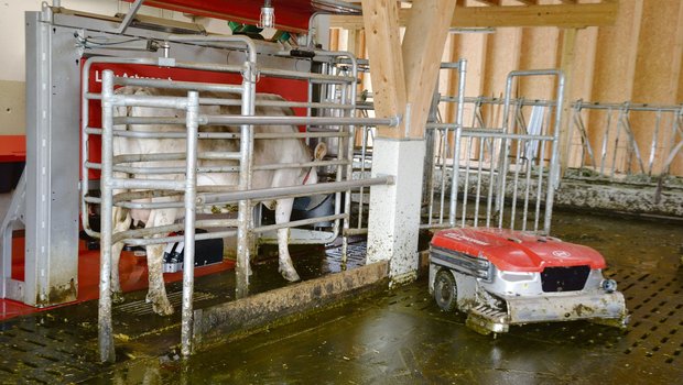 Analyse: Die Automatisierung und der Konsument – ein Dilemma Ein Melkroboter gehört heute auf den grösseren Betrieben schon fast zum Standard. (Bild pf)