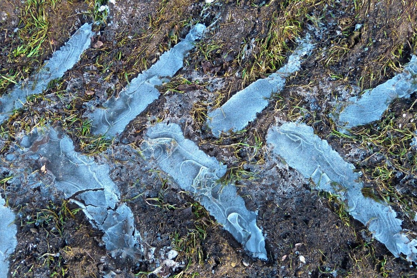 Solange die AP 22+ auf Eis gelegt ist, soll der erweiterte Absenkpfad Pestizide dafür sorgen, dass die Landwirtschaft in Sachen Nährstoffe und Pflanzenschutz weniger ungute Spuren hinterlässt. (Bild Pixabay)