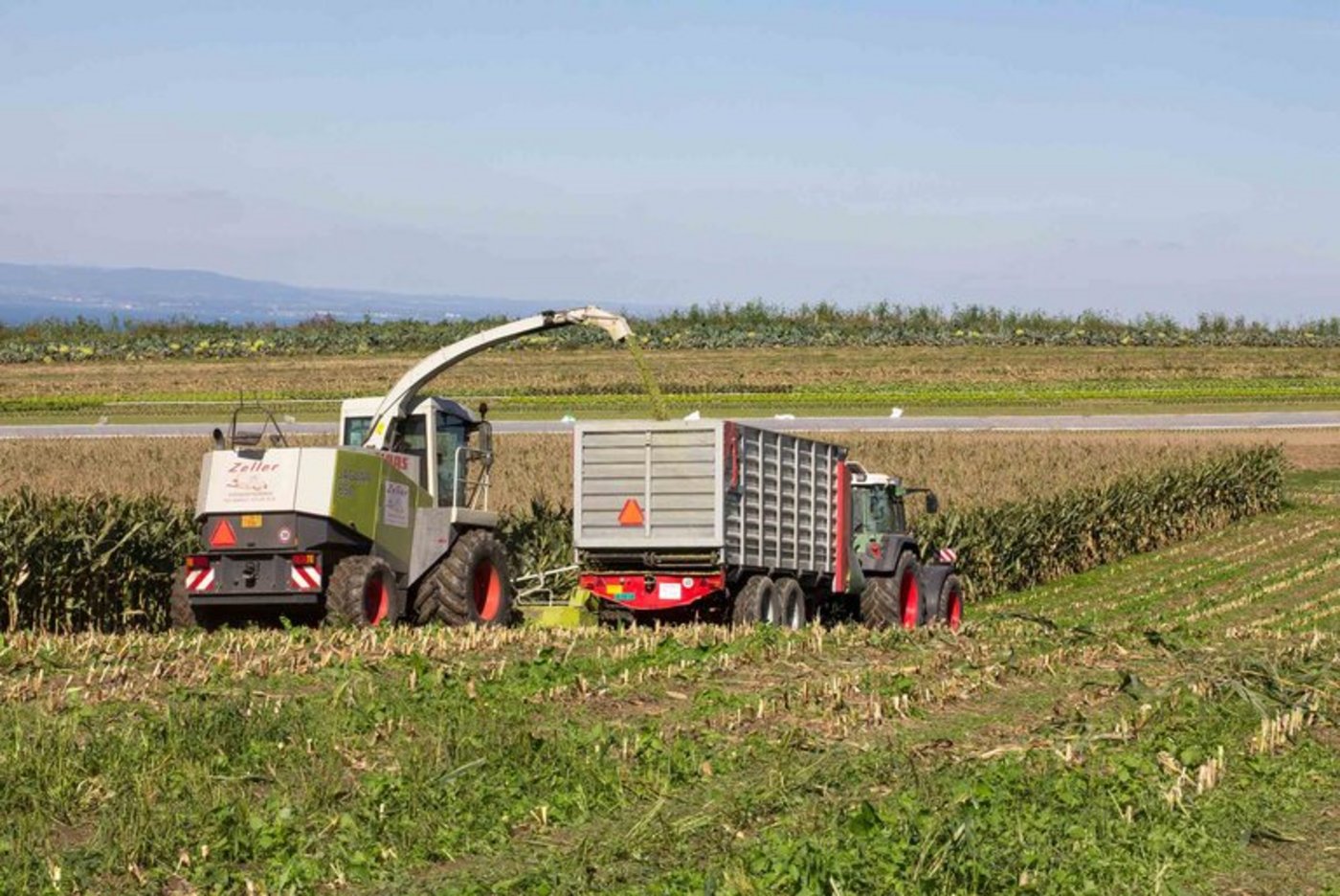Der Strukturwandel im Kanton St. Gallen verlangsamt sich. (Bild Verena Schönenberger / landwirtschaft.ch)