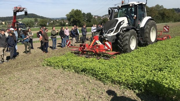 Der gezielte Einsatz von Messerwalze und Scheibenegge reduziert den Kraftstoffverbrauch und Pflanzenschutzmitteleinsatz. (Bild BBZ Arenenberg)