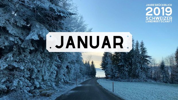 Bild Jahresrückblick: Monat Januar 2019 (Bild: BauZ)