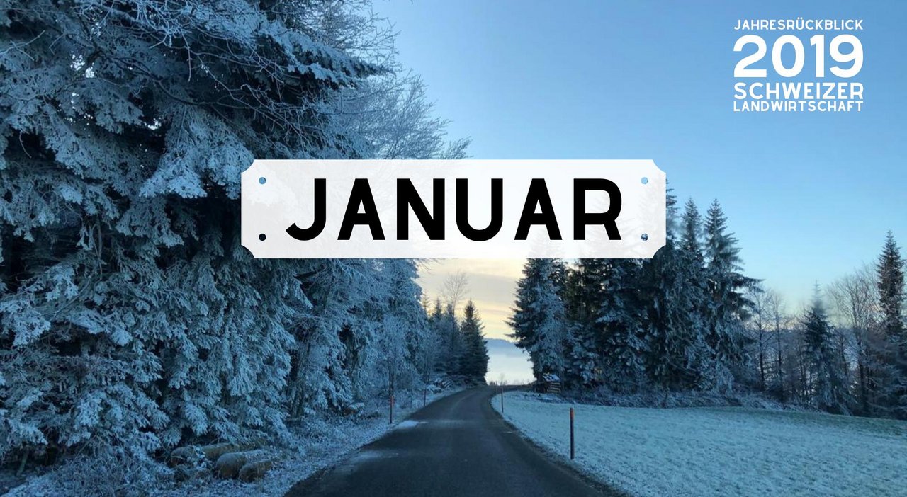Bild Jahresrückblick: Monat Januar 2019 (Bild: BauZ)