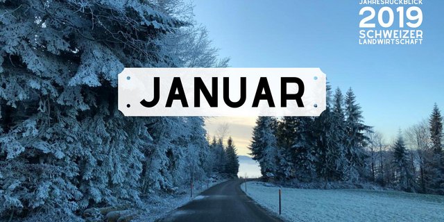 Bild Jahresrückblick: Monat Januar 2019 (Bild: BauZ)