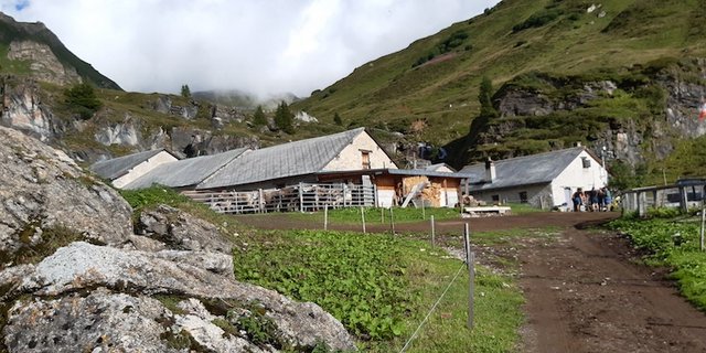 Die Alp Albin in Andeer GR liegt auf rund 2000 m ü. M. Zwischen 80 und 90 Kühe werden dort gesömmert und an einem Standort gemolken. (Bild Luzia Melchior)