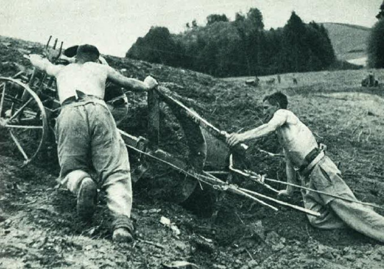 Vor fast 100 Jahren befürchtete man, arbeitsintensive Betriebsformen wegen Arbeitskräftemangels nicht mehr erhalten zu können. (Bild "Die Festgabe des Schweizerischen Bauernverbandes 1897 bis 1947")