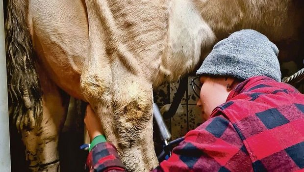 Joana Degen ist keine Bauerntochter und findet es deshalb umso spannender, was der Beruf Landwirtin alles umfasst.