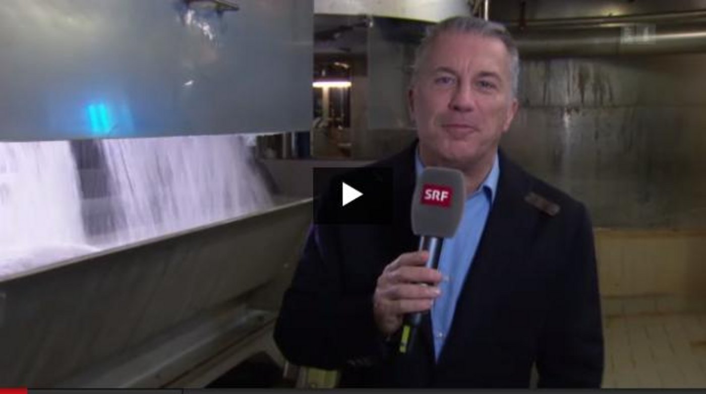 Unter dem Sendungstitel «Zucker: Süsses Geschäft» richtete sich Moderator Reto Lipp aus der Zuckerfabrik Aarberg an die Zuschauer(innen). (Screenshot srf.ch)