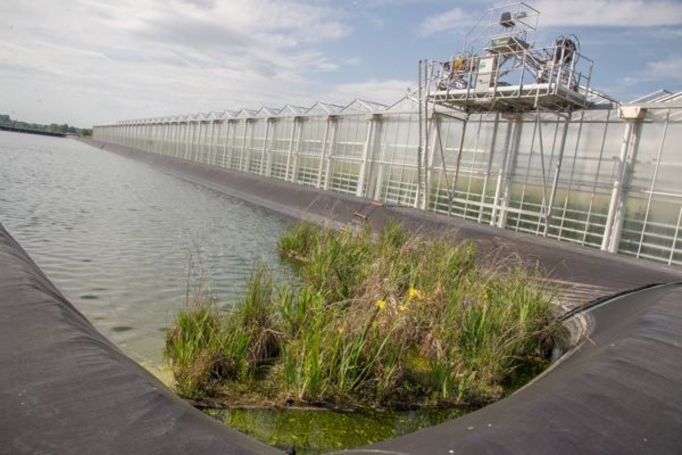 Eine weitere Ausseansicht des Gewächshauses. 