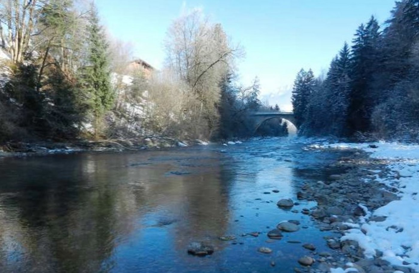 Seit 1850 wurden rund 70 Prozent der Auenlandschaften zerstört. (Bild BAFU)