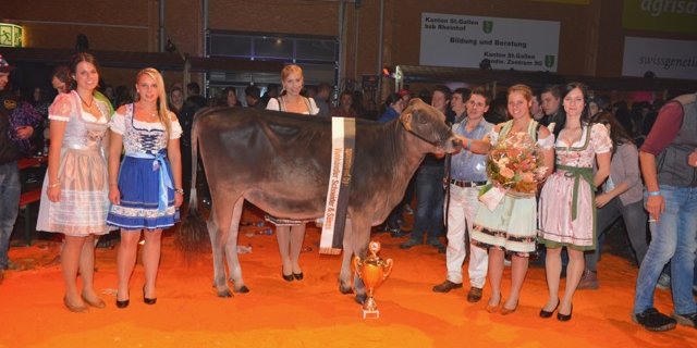 Jet Alana von Werner Züger aus Vorderthal SZ gewann am GP 2017. (Bild zVg) 