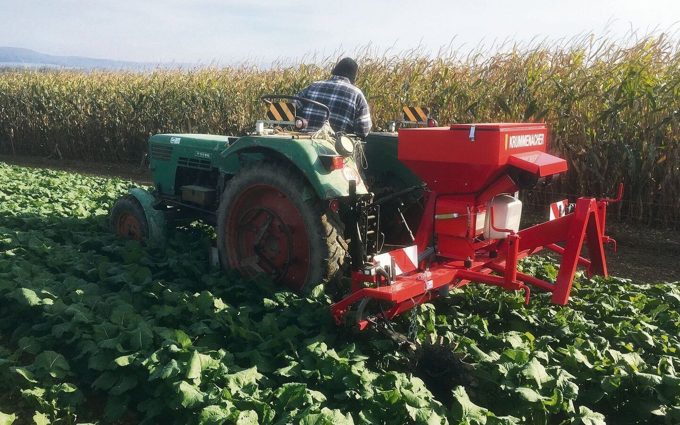 Hier wird Winterweizen in einen Rapsbestand gesät. Das FiBL testet verschiedene Verfahren dafür.