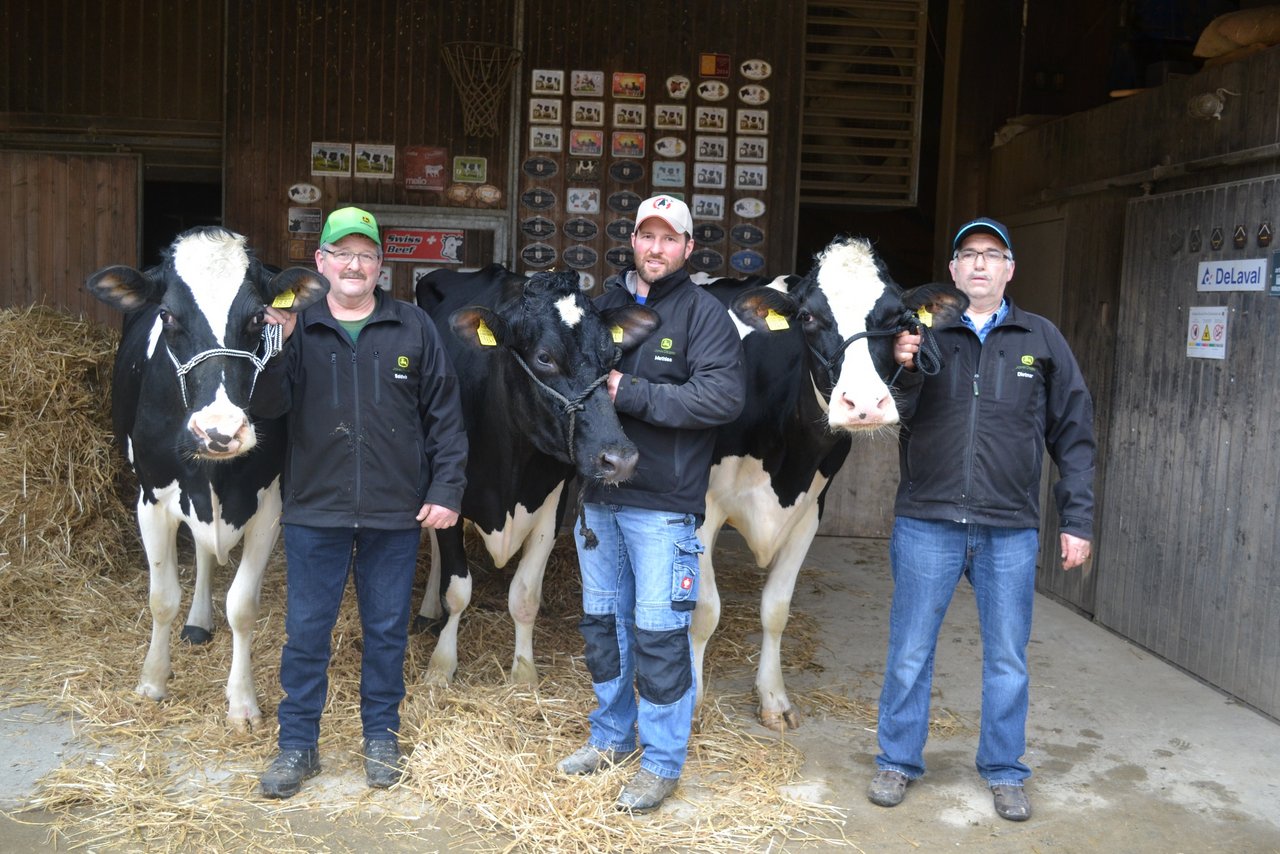 Baldwin, sein Sohn Matthias und Dietmar Schnell (v. l. n. r.) präsentieren hier drei eindrückliche Holsteinkühe.