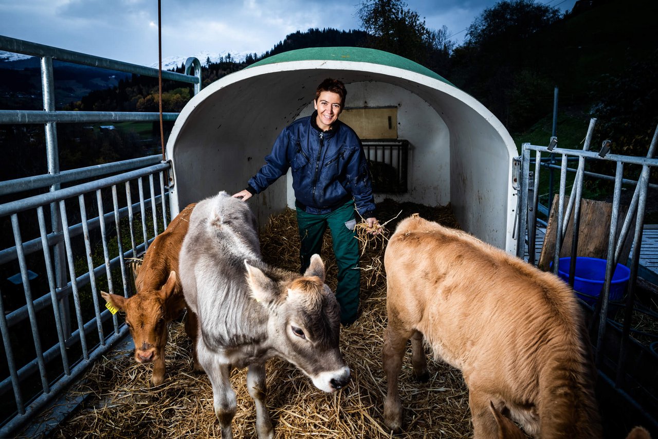 Landfrauenküche 2019 - Flurina Candinas Foto-Shooting mit Kälber (Bild: SRF/Ueli Christoffel)