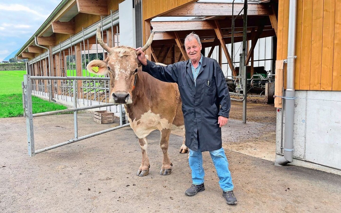 Das letzte Bild von Lieblingskuh «Blüem». Noch fit und munter am Montag, hatte die 14-Jährige am Dienstag einen Herzstillstand.