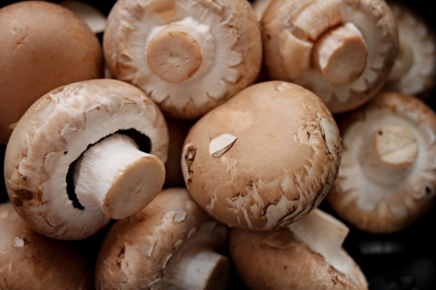 Von Januar bis August 2020 wurden gegenüber dem Vorjahr 10 Prozent mehr Schweizer Frisch-Champignons verkauft. (Bild Pixabay)