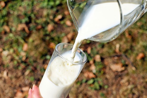 Die Preisdifferenz zwischen konventioneller und Bio-Milch verstärkt sich. (Symbolbild Pixabay)