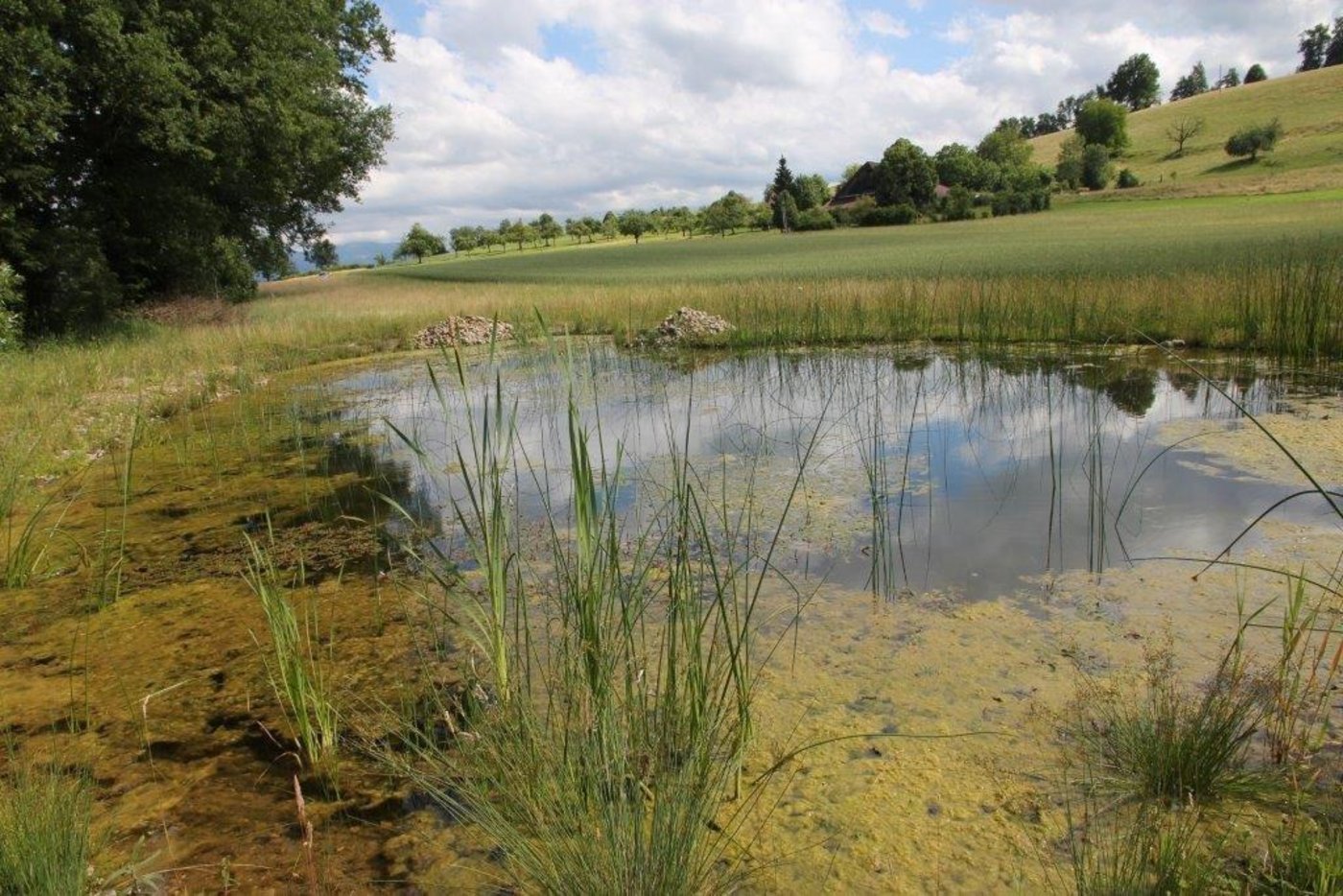 ...und nachher. (Bilder zVg)