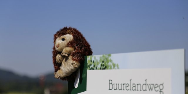 Maskottchen Igor führt über den Buurelandweg. (Bild ji)