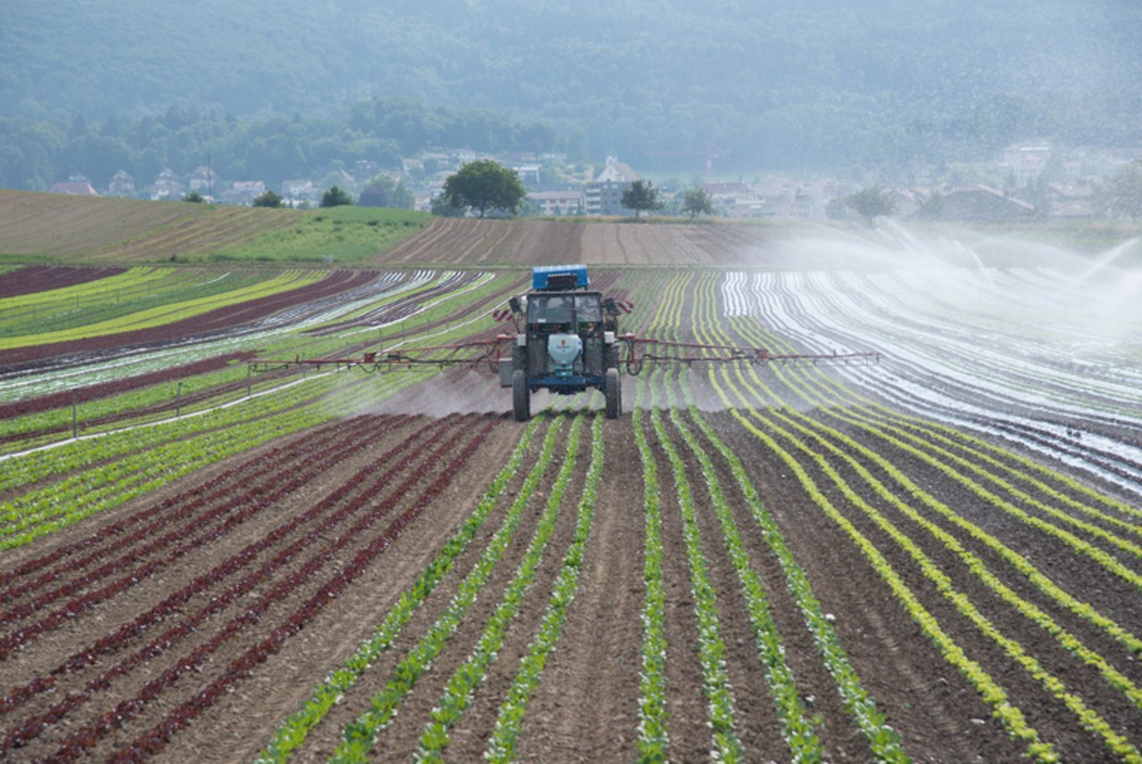 Pflanzenschutzmittel sind eine wichtige Stütze der aktuellen Landwirtschaft. (Bild lid/ep)