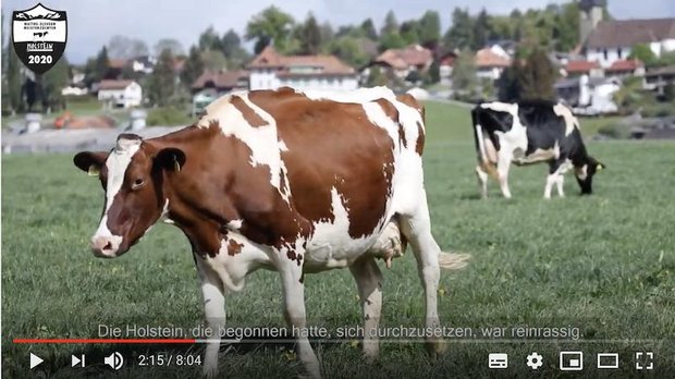 «Die Kommunikationskampagne hilft mit, die Konsum enten über wichtige Themen aufzuklären» Mit den Rassen-Videos soll unter anderem gezeigt werden, dass intensive Produktion auch in der Schweiz sinnvoll sein kann. (Bild Screenshot Youtube)