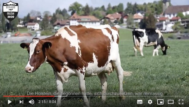 Mit den Rassen-Videos soll unter anderem gezeigt werden, dass intensive Produktion auch in der Schweiz sinnvoll sein kann. (Bild Screenshot Youtube)