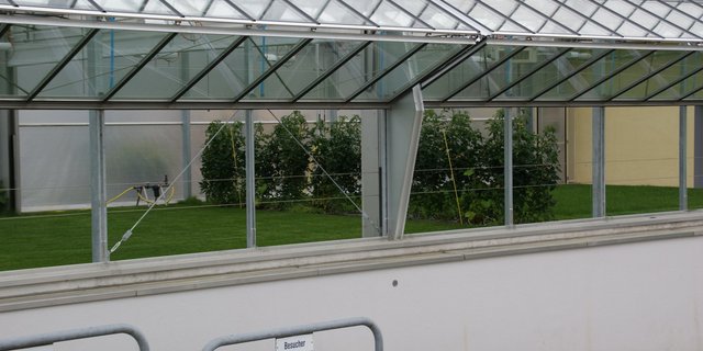 Agroscope betreibt Forschung für die Schweizer Landwirtschaft, Ernährung und Umwelt. (Bild lid/ji)