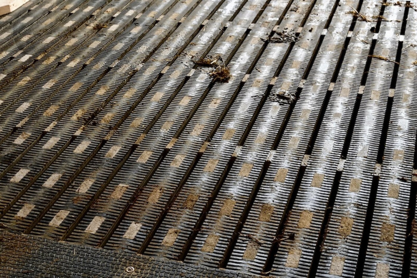 Im Stall gehen die Kühe auf dem Meadowfloor. Die Betonklötzchen zwischen den Gummimatten sollen den natürlichen Klauenabrieb ermöglichen. (Bild Jasmine Baumann)