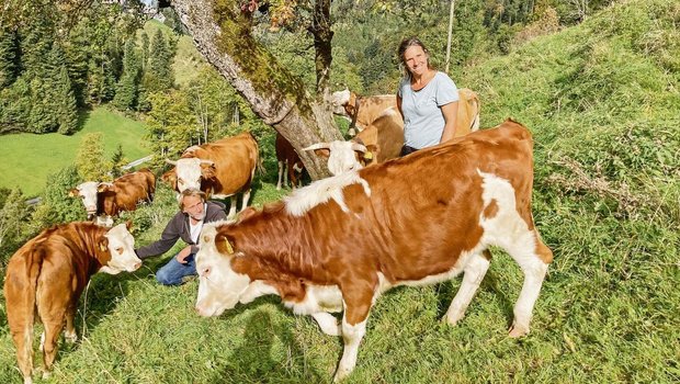 Jörg und Tamara Stoller vom Biohof Grossegg mit ihren stämmigen Hinterwälderkühen. Sämtliche Produkte vom Betrieb werden direktvermarktet. Die Nähe zum Ballungsgrossraum Zürich und Winterthur macht es möglich. 