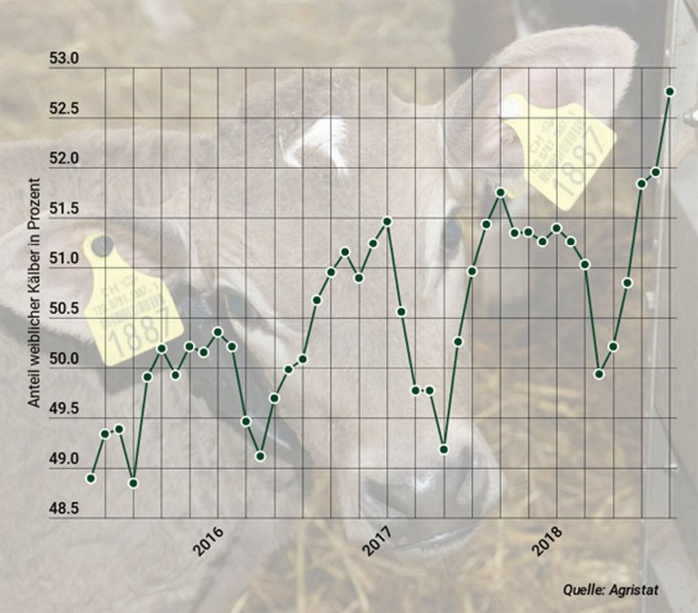 Es ist kein Zufall, dass immer mehr weibliche Kälber geboren werden. (Bild lid)