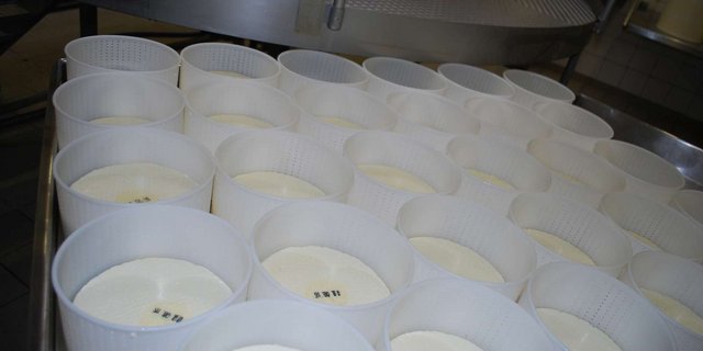 Mit traditionellem Käse (wie auf unserem Bild) haben die neuen Veggie-Käse aus dem Tessiner Bedrettotal  wenig zu tun. (Symbolbild Jasmine Baumann)