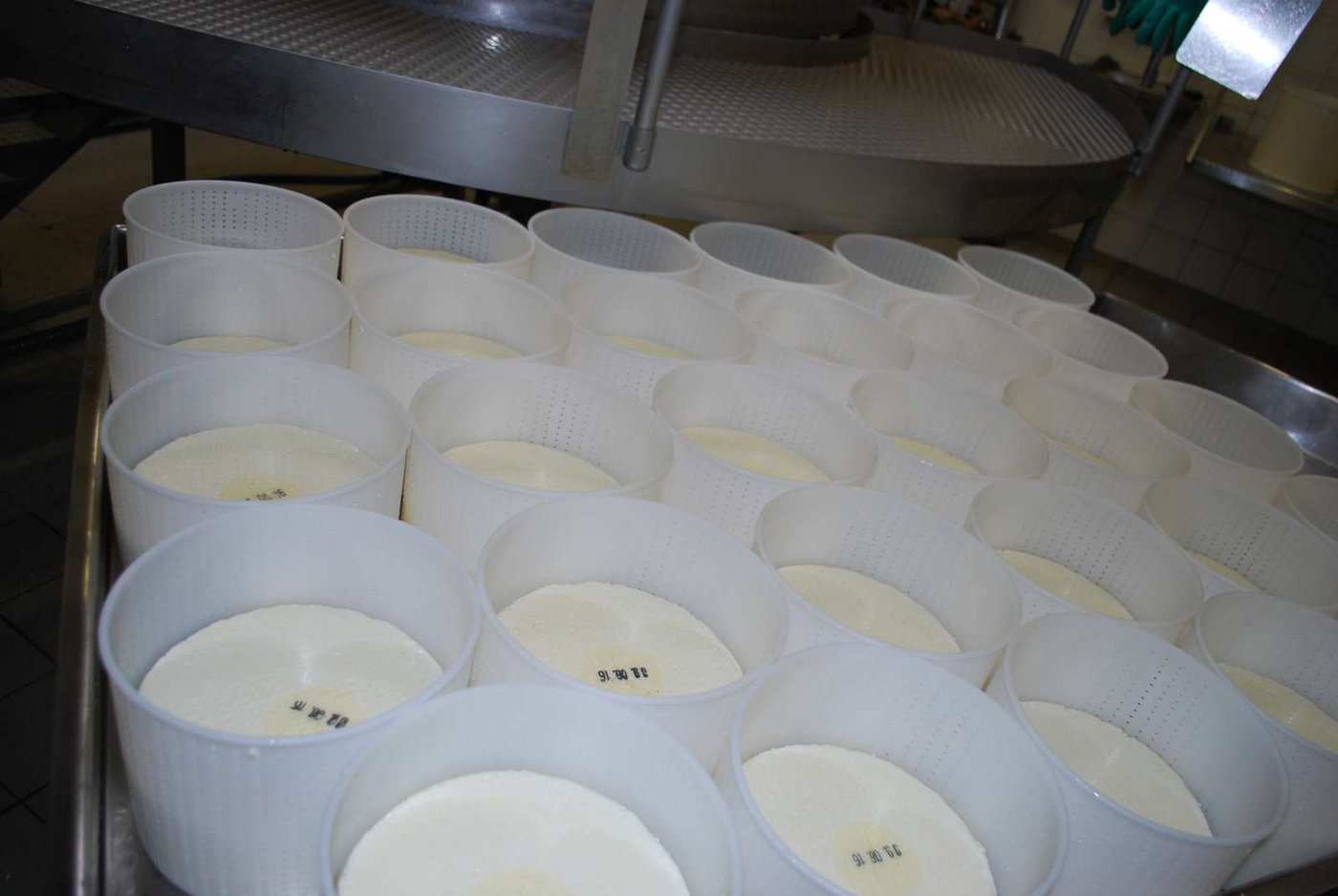 Mit traditionellem Käse (wie auf unserem Bild) haben die neuen Veggie-Käse aus dem Tessiner Bedrettotal  wenig zu tun. (Symbolbild Jasmine Baumann)