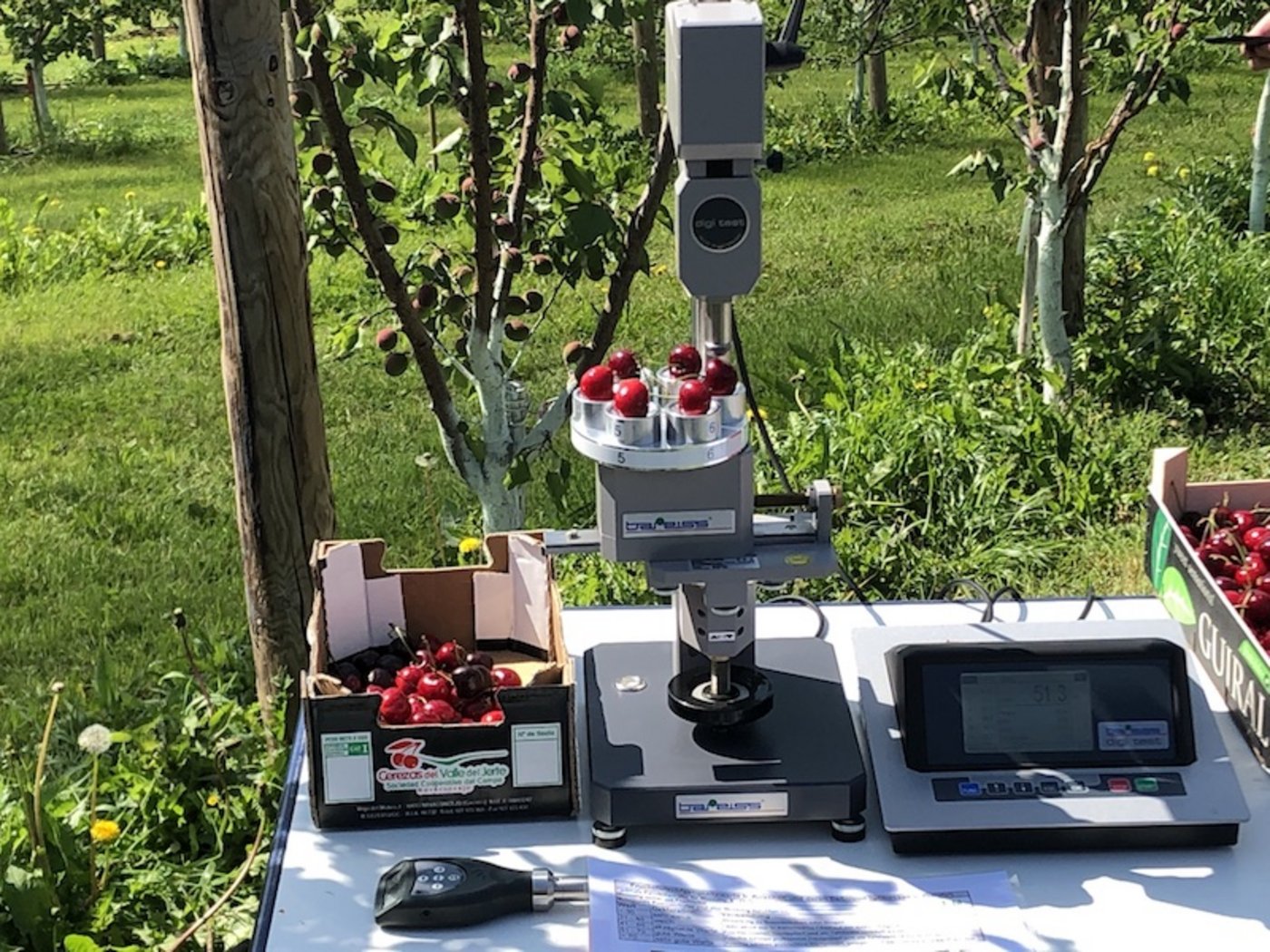 Dieser Prototyp wurde von der Tobi Seeobst entwickelt, um die Festigkeit von Kirschen zu ermitteln. (Bilder und Video et)