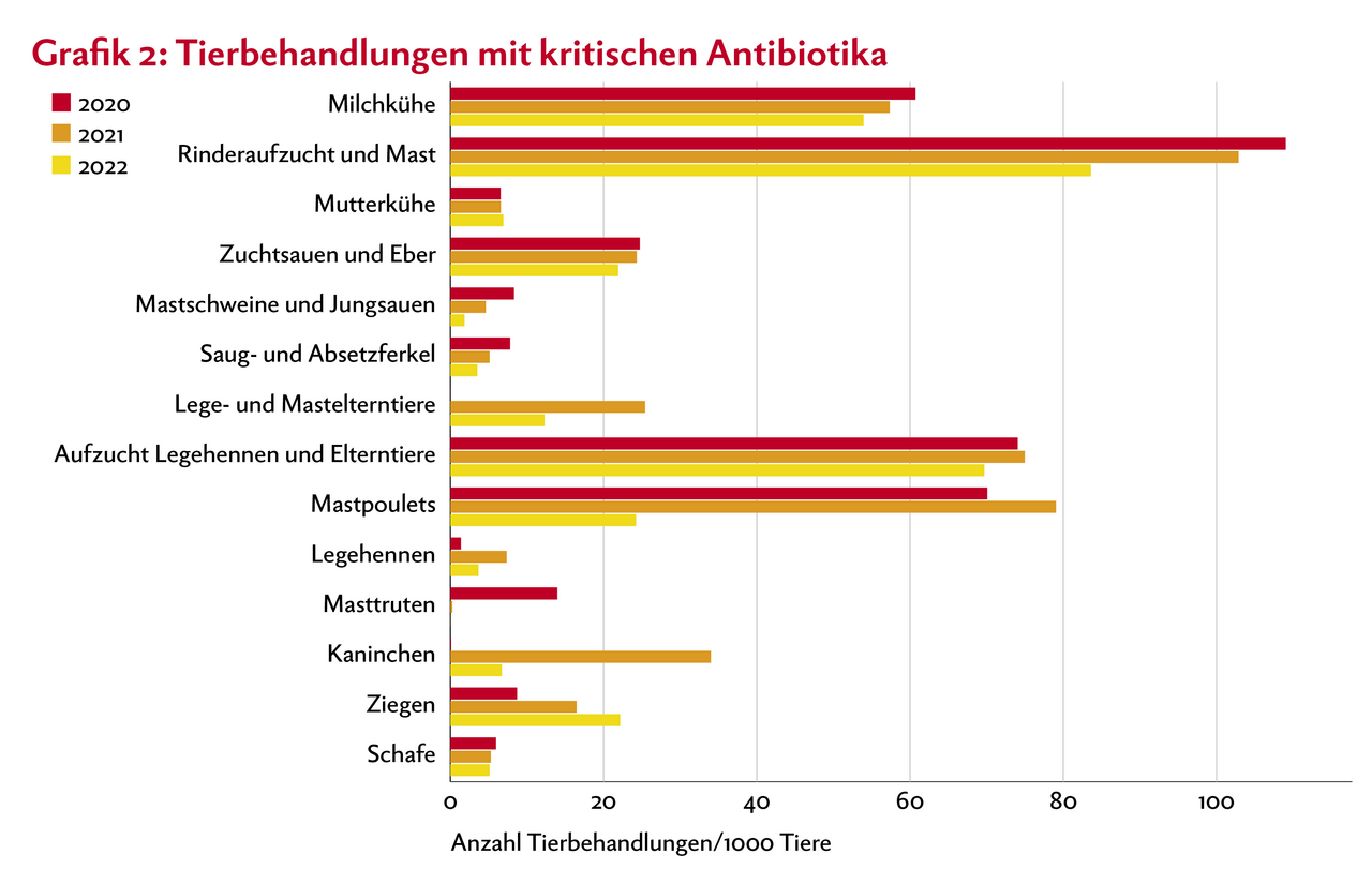 Balkendiagramm zeigt die Anzahl Tierbehandlungen mit kritischen Antibiotika relativ zur Populationsgrösse der einzelnen Nutztier-Kategorien.