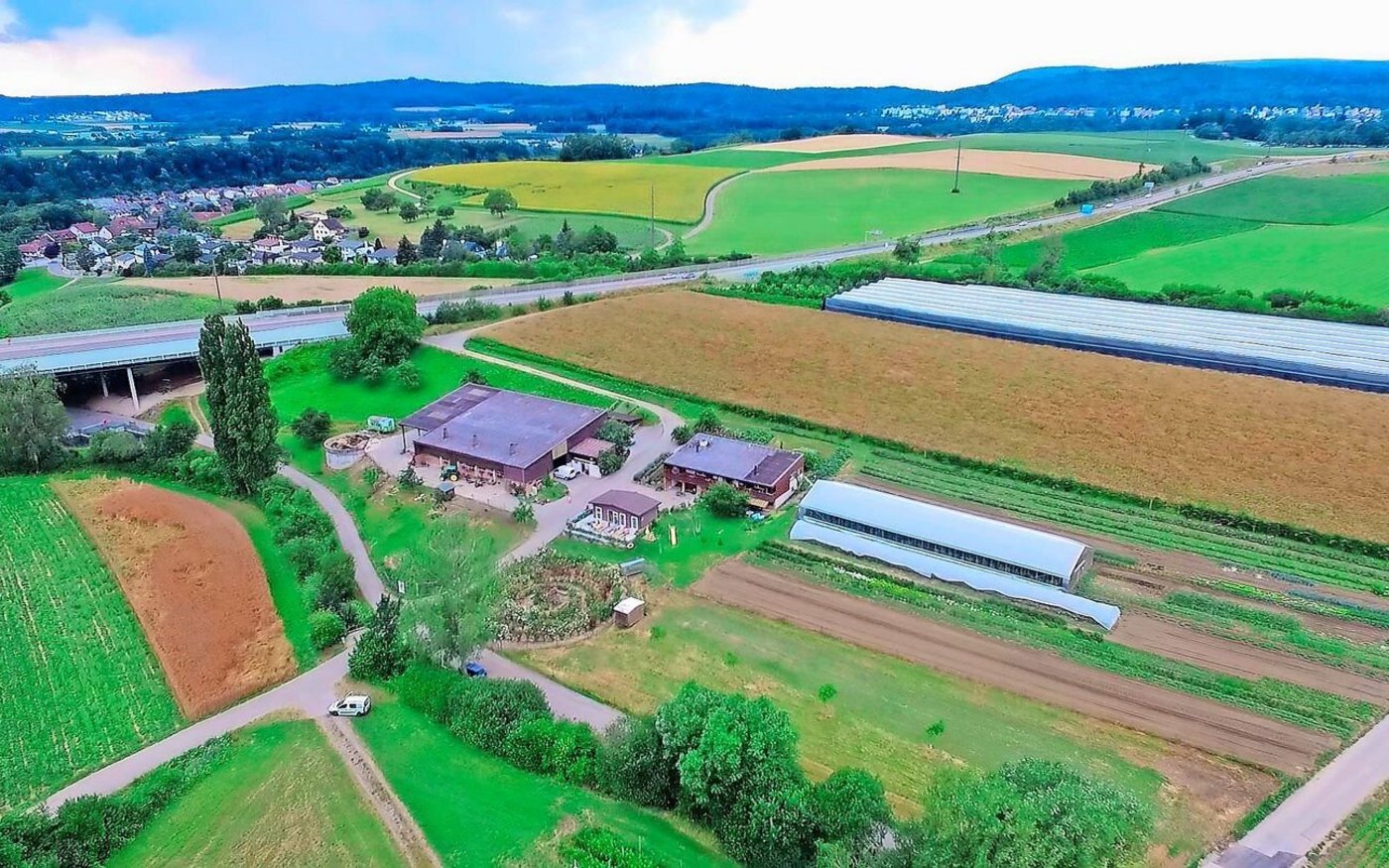 Der 30-ha-Betrieb in Dachsen hat sich auf Beeren und Früchte, Selfpick und Direktvermarktung spezialisiert.