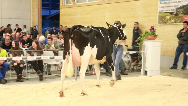 Kaeser Pinch Basilea wechselte für 6000 Franken die Hand. (Bild Ruth Aerni)