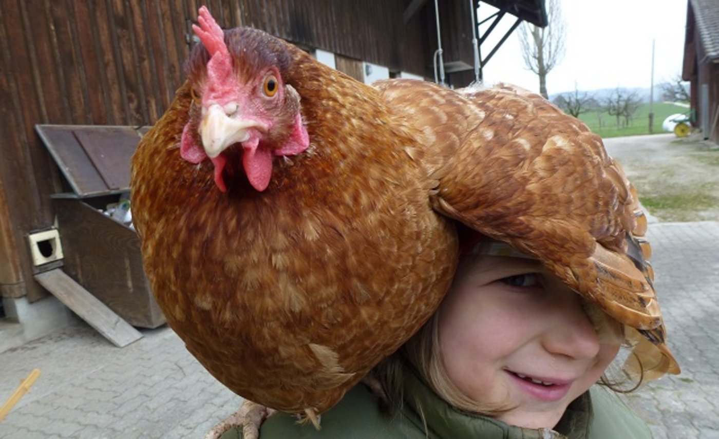 Die Kinder erleben ihren schönsten Tag im Jahr auf einem Bauernhof. (Bild kids-farm.ch)