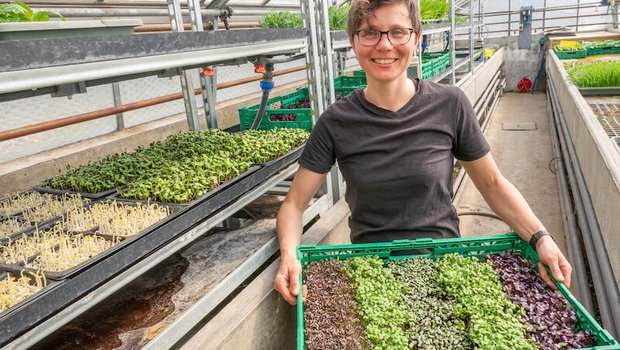 Barbara Schmid verkauft ihre Microgreens an Gastronomen und auf dem Wochenmarkt. (Bild lid)