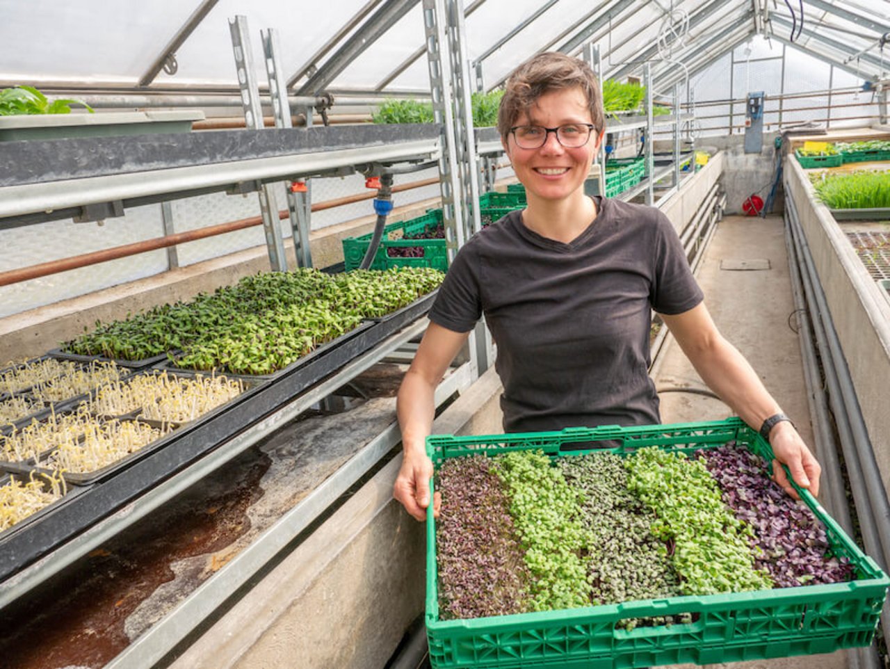 Barbara Schmid verkauft ihre Microgreens an Gastronomen und auf dem Wochenmarkt. (Bild lid)