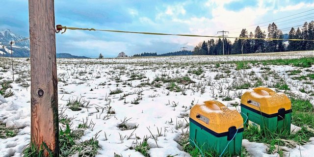 Ist der Schnee weg, weiden auch hier wieder Kühe. Es lohnt sich, die Drahtqualität des Zauns und die Erdung des Viehhüters regelmässig zu überprüfen.