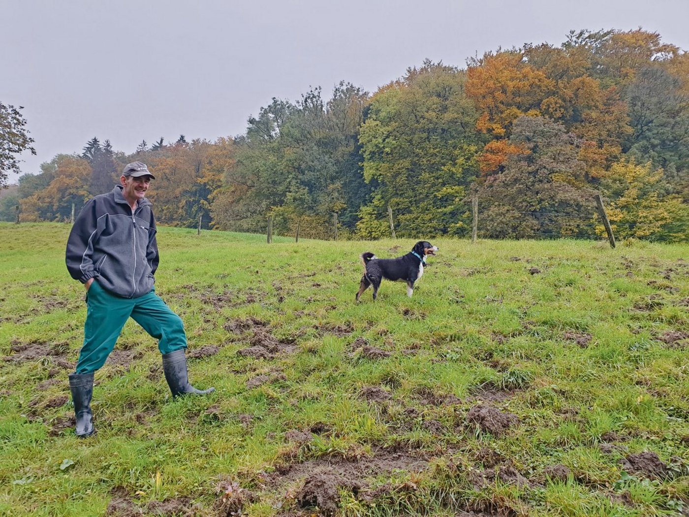 Wildschweine auf Nahrungssuche haben die Naturwiese durchwühlt: Solche Bilder gehören für Martin Käser zum Alltag. (Bild Ruth Aerni)