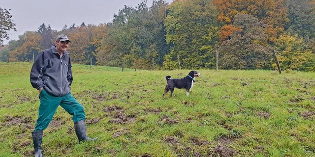Wildschweine auf Nahrungssuche haben die Naturwiese durchwühlt: Solche Bilder gehören für Martin Käser zum Alltag. (Bild Ruth Aerni)