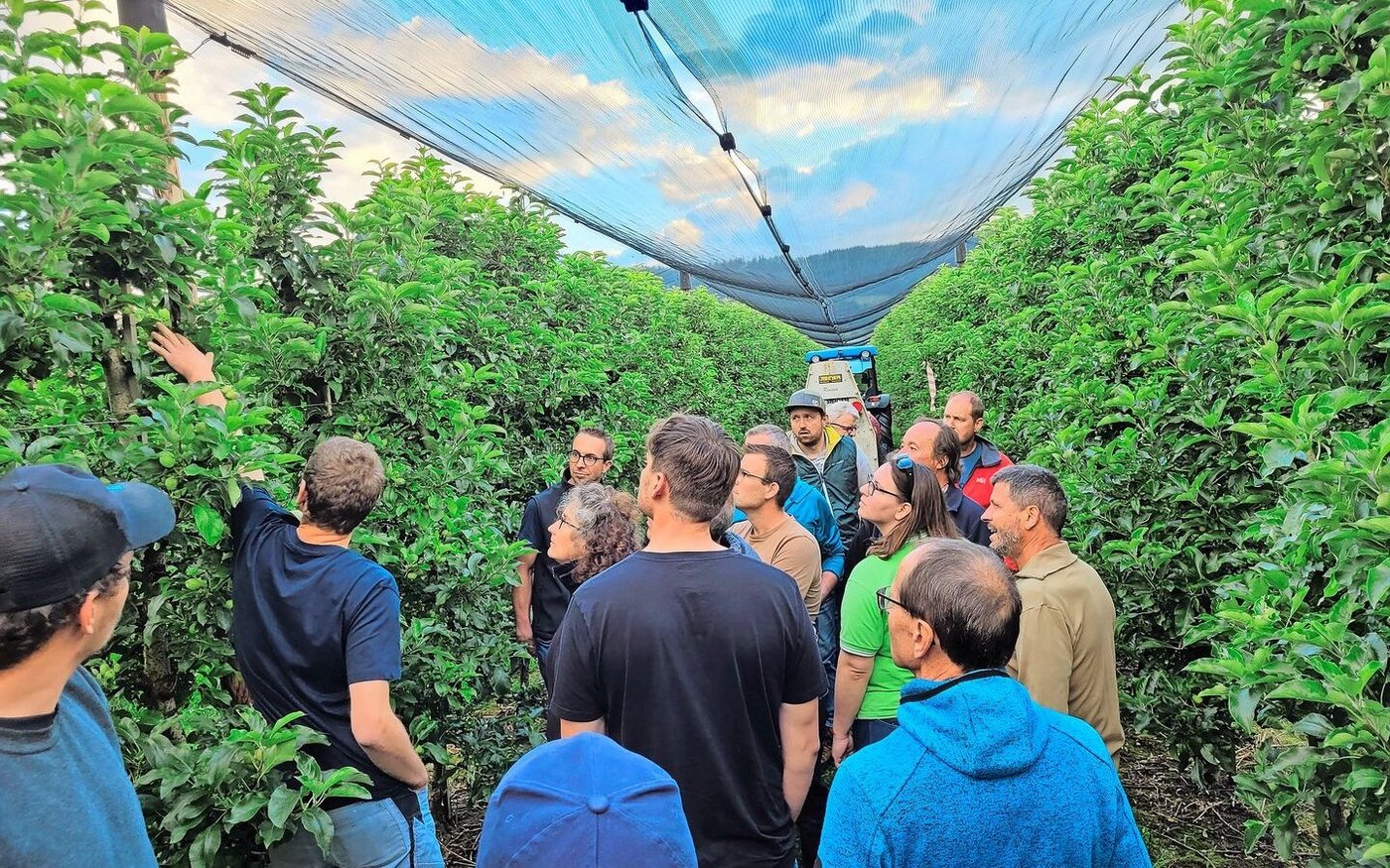 Die Teilnehmenden begutachten die Anlagerung der ungiftigen Test-Spritzbrühe auf den Blättern in der Obstanlage in Hitzkirch. 